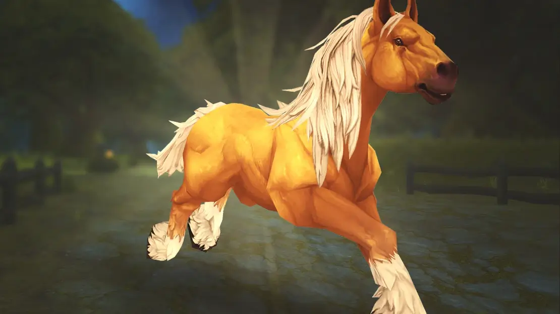 Riding 宝典: Apprentice Riding